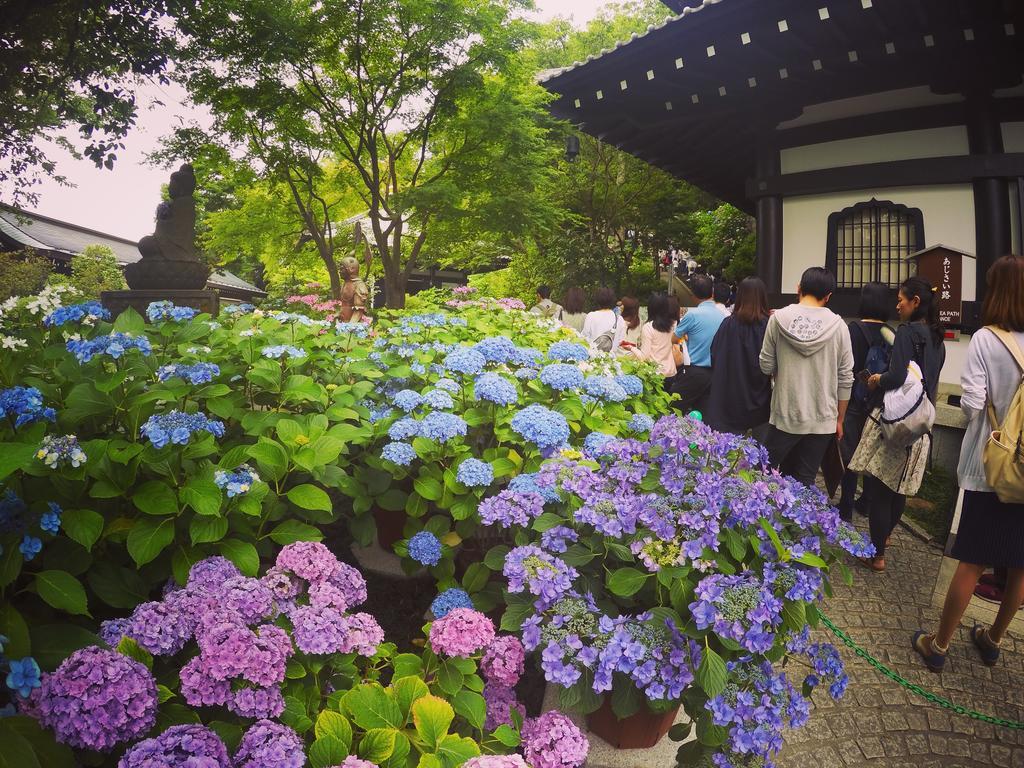 Iza Kamakura Guest House And Bar Kültér fotó